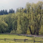 Chowańcówka - Otoczenie domu 1